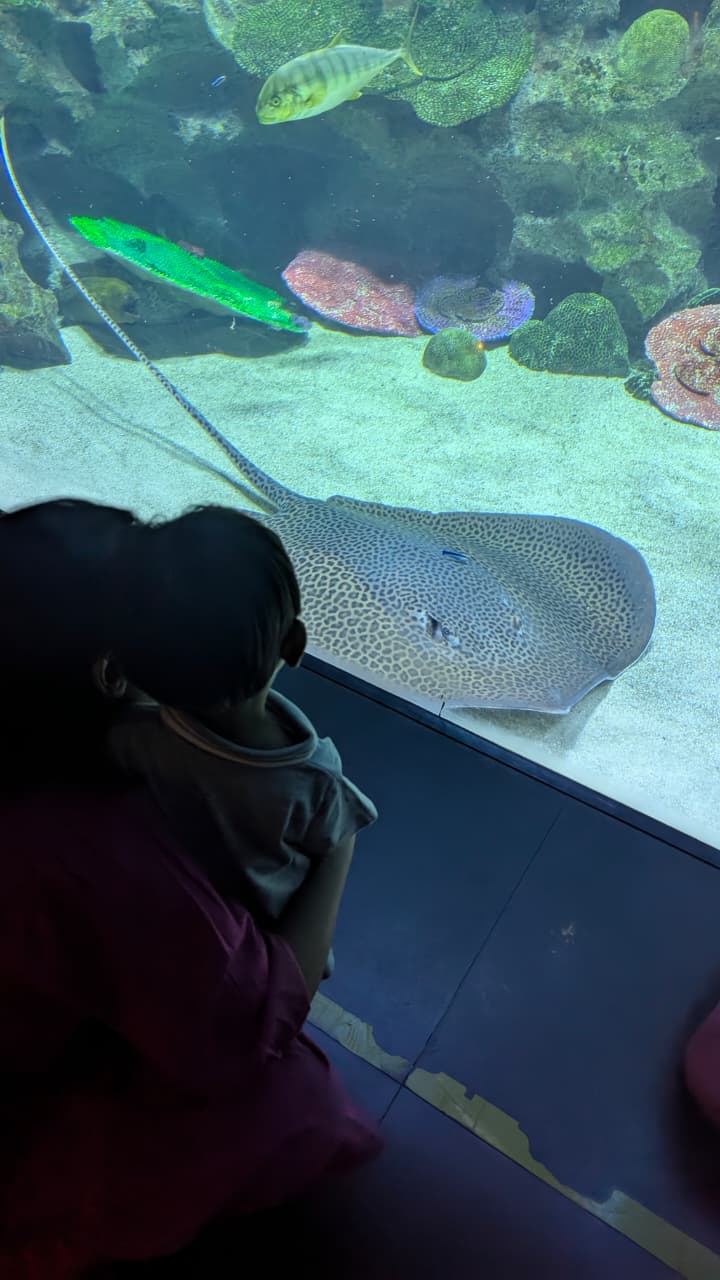KLCC Aquarium